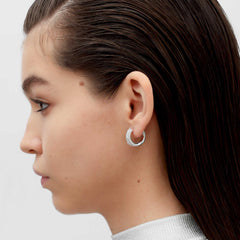 RSNY special-shaped double-ring earrings