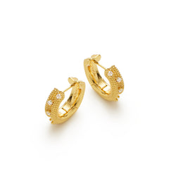 RSNY special-shaped double-ring earrings