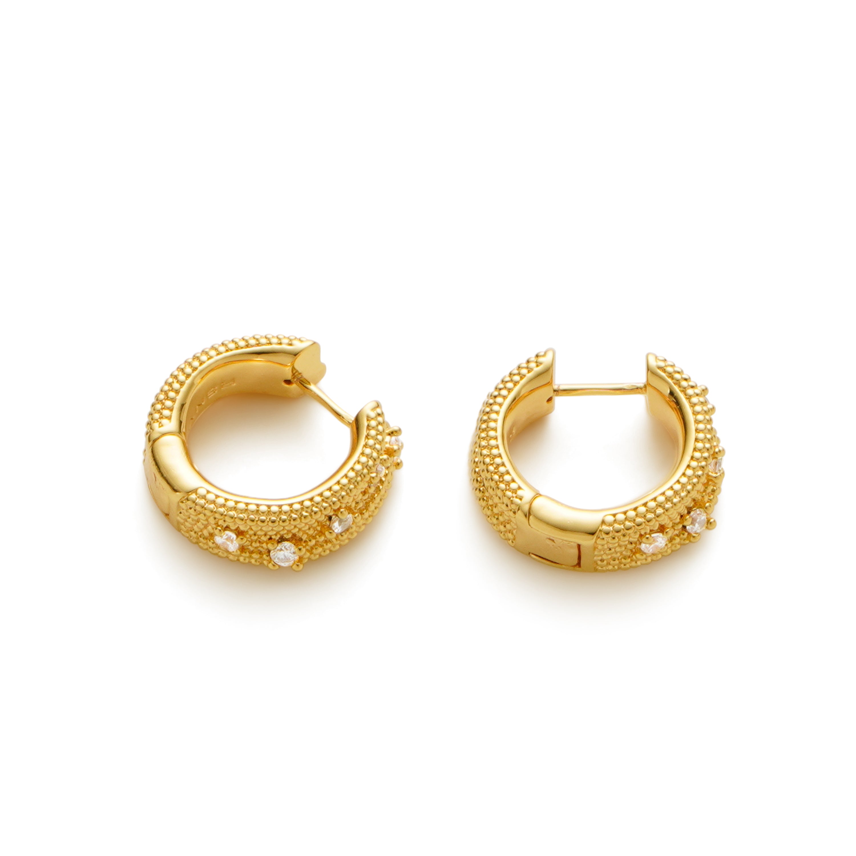 RSNY special-shaped double-ring earrings